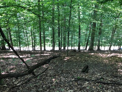 2057 Yana Ln, Hide A Way Hills, OH 43107 - photo 3