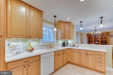 17516 Queen Elizabeth Dr, Olney, MD 20832 - photo 6