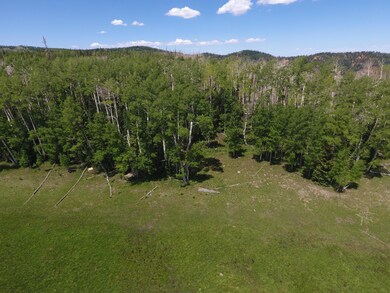 DJI_0244