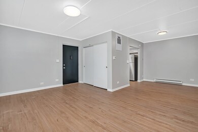 315 W Kimbell Ave unit 14, Elmhurst, IL 60126 - photo 4