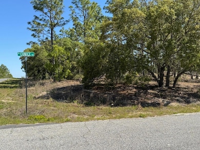 3563 W Eunice St, Dunnellon, FL 34433 - photo 6