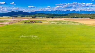 DJI_0550