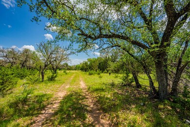 1085 Hollmig Ln, Fredericksburg, TX 78624 - photo 3