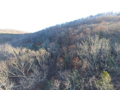 0 Ria Ln unit 1295309, Eureka Springs, AR 72631 - photo 6