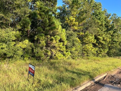 0 Continental Pkwy unit 60798783, Humble, TX 77346 - photo 6