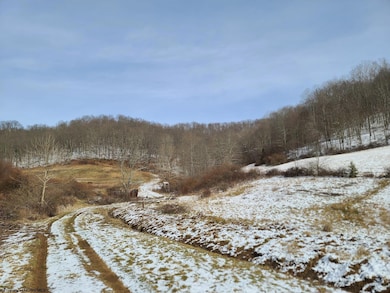 1931 Saint Leo Rd, Wadestown, WV 26590 - photo 3