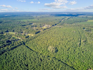 00 Summer Dr unit 4, Ridgeville, SC 29472 - photo 6