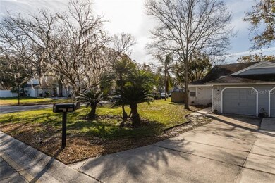 3292 Hibiscus Dr unit 124, Palm Harbor, FL 34684 - photo 3