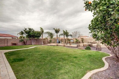 5 Backyard