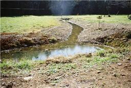 0 D J Rye Rd, Tennessee Ridge, TN 37178 - photo 5