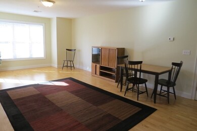 15 Summer St unit 203, Franklin, MA 02038 - photo 5