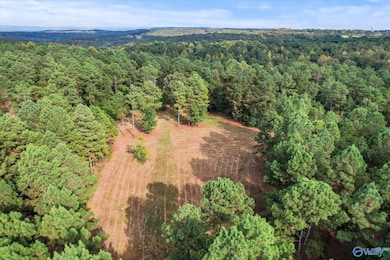 8.9 Acres Davis Gap Rd, Vinemont, AL 35179 - photo 4