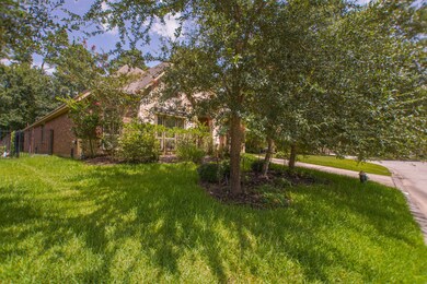 14 Blue Wildflower Place, the Woodlands, TX 77354 - photo 3