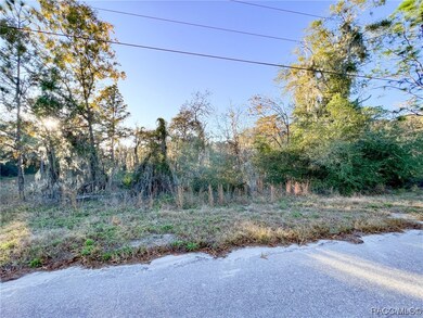 Lot view