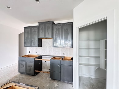 Gorgeous dark grey kitchen cabinets - still under