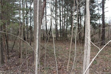 8586 Haydens Way, Concord, NC 28025 - photo 7