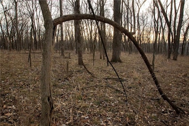 705 NE Noeleen Ln, Lee's Summit, MO 64086 - photo 5