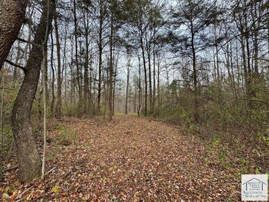 0 Pine Knoll Farms unit 145572, Stuart, VA 24171 - photo 2