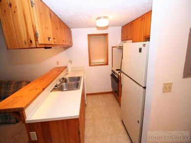 114 S Slope Cir unit 114-1, Banner Elk, NC 28604 - photo 2