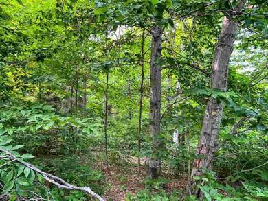 TBD Angeline's Trail, Beaver Island, MI 49782 - photo 5