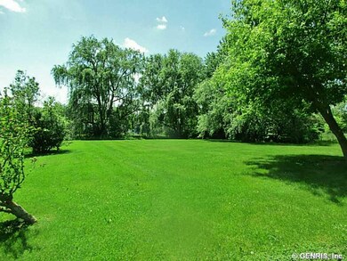 Backyard.