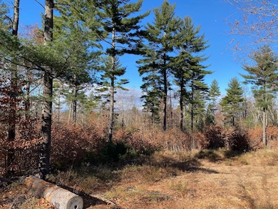 599 Pequawket Trail, Steep Falls, ME 04085 - photo 2