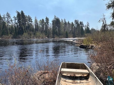 Water view featuring a forest