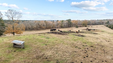 16202 Texas 87 S, Shelbyville, TX 75973 - photo 2