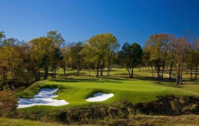 81 Pronghorn Dr, Gordonville, TX 76245 - photo 3