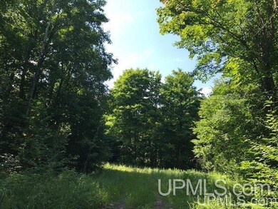 TBD Rock River Rd, Deerton, MI 49822 - photo 5