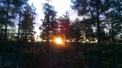 IMAG0211_2