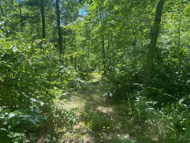 XXX Pot o Gold Rd, Oakland, WI 54830 - photo 7