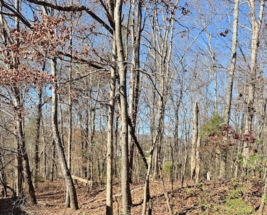 3990 Oak Hill Rd, Dayton, TN 37321 - photo 2