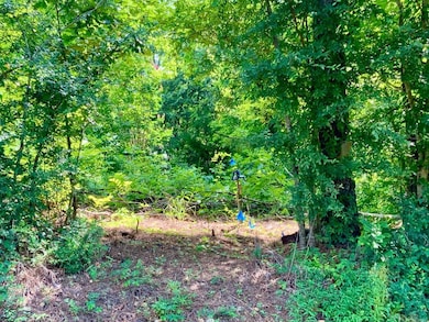 0 Stimson Rd unit 24207833, Bumpus Mills, TN 37028 - photo 3