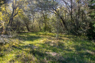 4295 County Road 181, Alvin, TX 77511 - photo 7