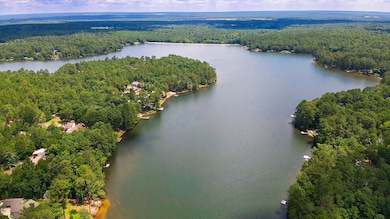 853 Edisto Lake Rd, Wagener, SC 29164 - photo 4