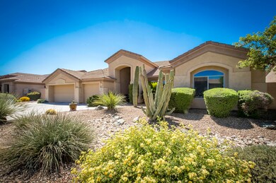 Mature Landscaping