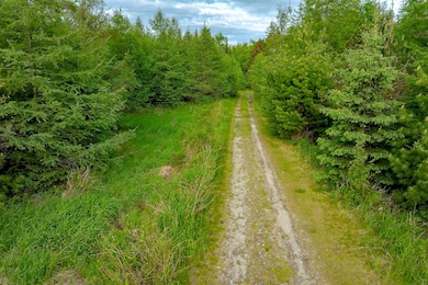 126 Point St, Columbia Falls, ME 04623 - photo 3