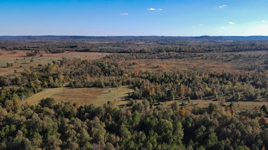 1 County Road 78, Russellville, AL 35654 - photo 5