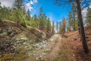 4425 Stonebrook Way, Springdale, WA 99173 - photo 4