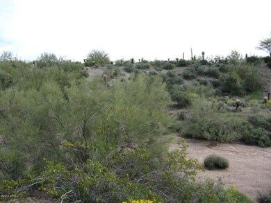 land on lost dutchman 006