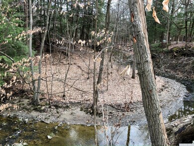 23 Woodpecker Ct, Coxsackie, NY 12051 - photo 6