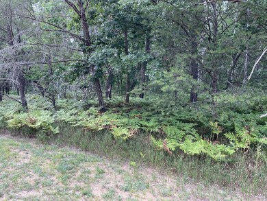 IMG-1583