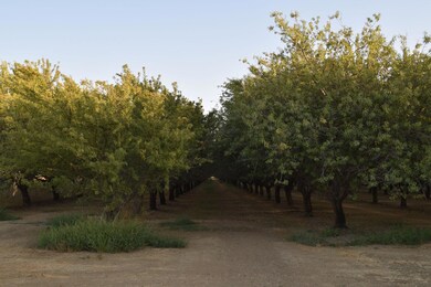 0 Road 16 unit 225148556, Zamora, CA 95698 - photo 4