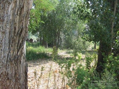 117 W Franklin Ave, Dayville, OR 97825 - photo 6