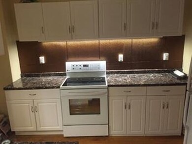 39 E Concord St unit 2, Boston, MA 02118 - photo 4