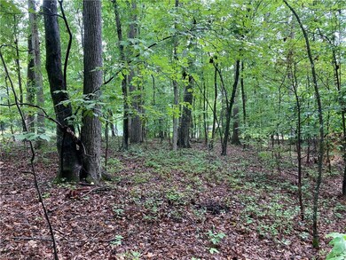 1405 Mack Rd, Asheboro, NC 27205 - photo 2