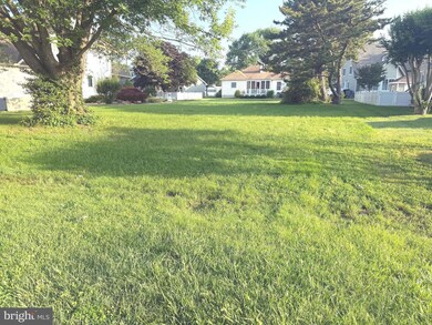 223 Chad Place Manor, Ocean View, DE 19970 - photo 2