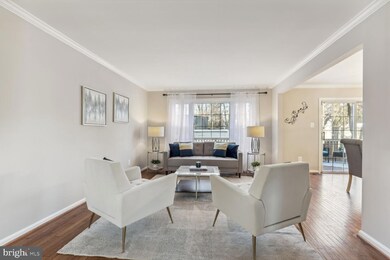 5600 Tilia Ct, Burke, VA 22015 - photo 5