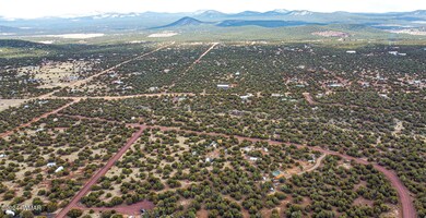 dji_fly_20240309_135030_265_171001749613